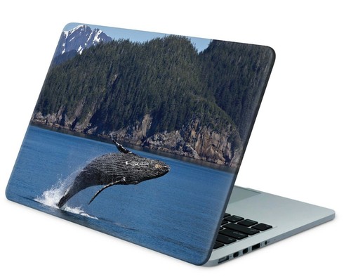 Universal laptop skin notebook - laptop,