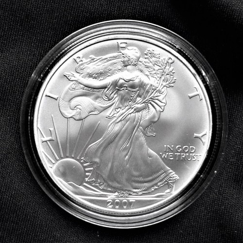 American silver eagle - silver, 2007