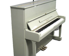 Yamaha schilfgrün von - in,