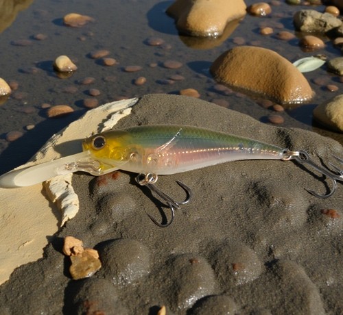 Lucky craft bevy shad - craft,