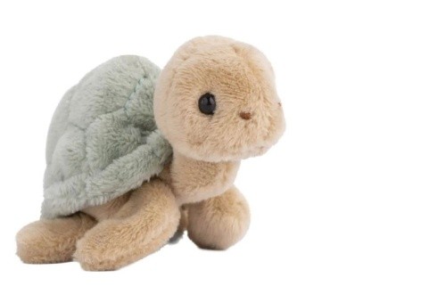 Schildkröte sandy 2025 - schildkröte, 2025"