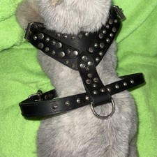 Echtleder Hundegeschirr Nietengeschirr / Hundehalsband / Leine für große Hunde 