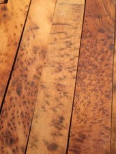 1x Thuja Wurzelholz Thuya