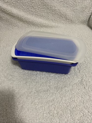 Tupperware four seasons box - seasons,