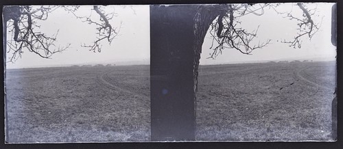 Landschaft champs foto - landschaft,