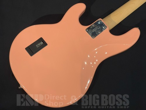 Sterling music man - sub, ray4