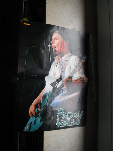 Popcorn poster paddy kelly - popcorn,