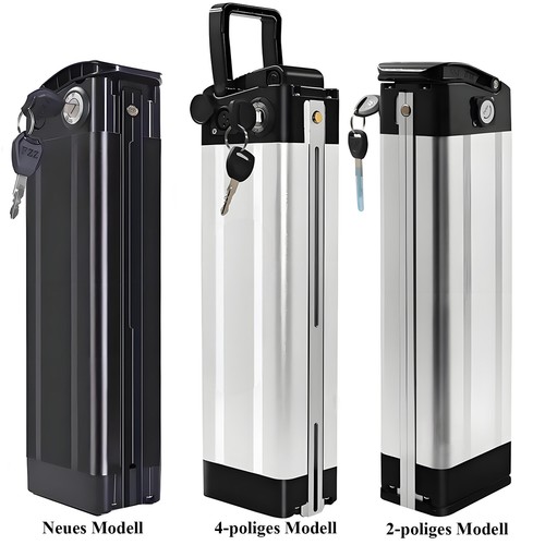 Silverfish 48v 36v 24v 10ah - 48v,