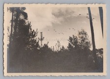 Flugzeuge 2. Weltkrieg Staffel