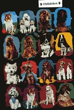 # GLANZBILDER # Krüger