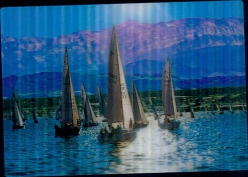 Bodensee regatta - ak,
