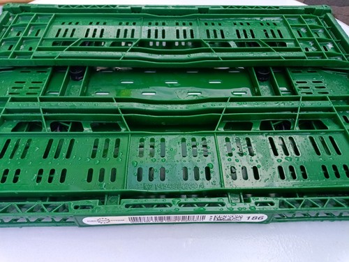 Klappbare transportbox grün - transportbox,