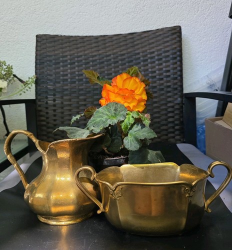 Set gilde blumentopf - set:,