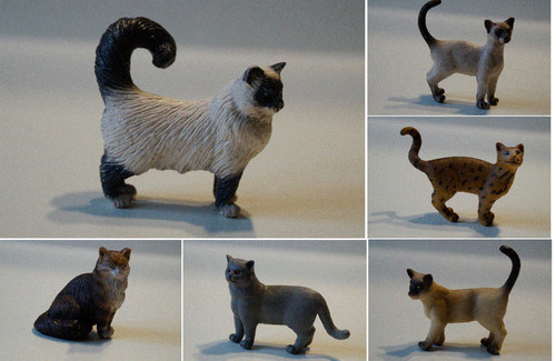 Schleich 16001 16654 katze 8 - katze, 1:8