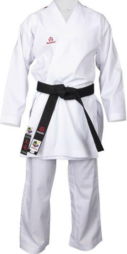 Karate champion flexz - karate,