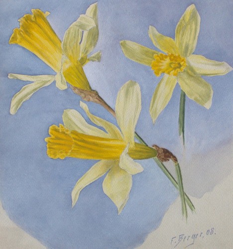 Fritz berger blumenstudie - berger,