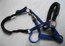 Kavalkade Sicherheitshalfter - Gr. WB - Blau/Schwarz