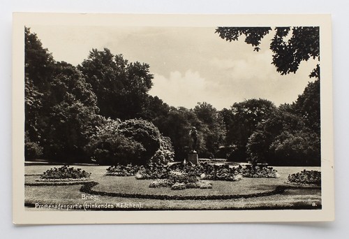 Echtfoto postkarte brieg - -,