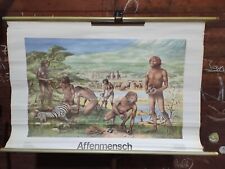 Rollkarte DDR Affenmensch Urzeitmensch Zebra Giraffe Jagd Schulkarte Schule