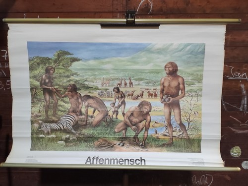 Rollkarte ddr affenmensch - rollkarte,