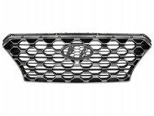 Kühlergrill Frontgrill Grill