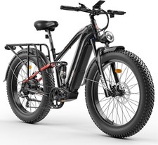 3000W All Terrain Electric