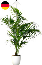 Parus by Venso Sunlite XL LED