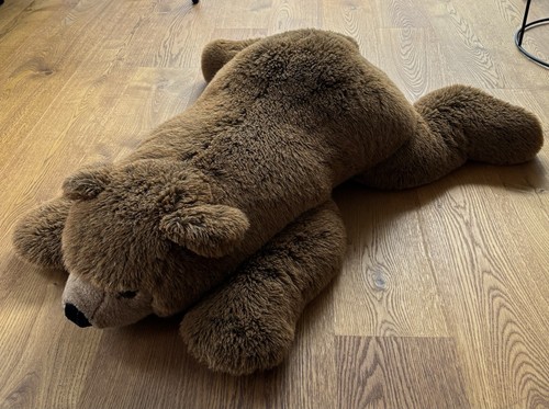 Teddybär urs liegend von - teddybär,