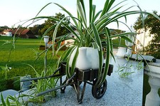 ✿Schubkarre 36cm Metall3,2kg