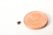 Arnold Rapido Spur N  Bolzen 