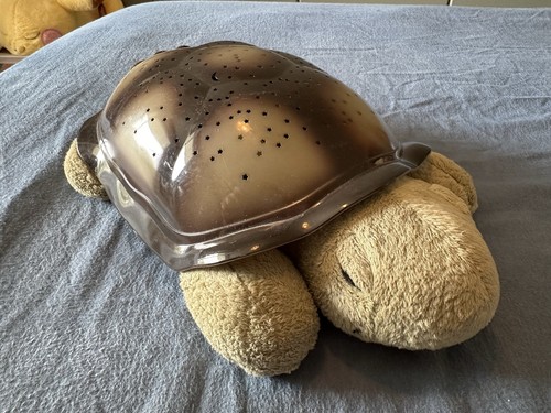 Cloud twilight turtle - cloud, b