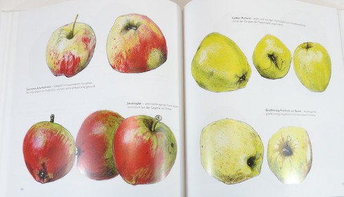 Das apfelbuch alte - das,