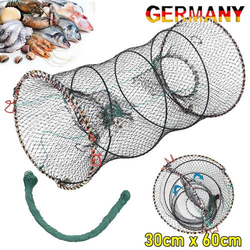 Bait fish trap - , eel