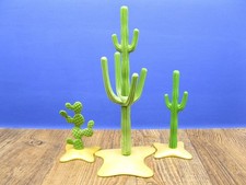 3 Kakteen Western Pflanzen