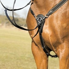 Kieffer Vorderzeug  Arlene