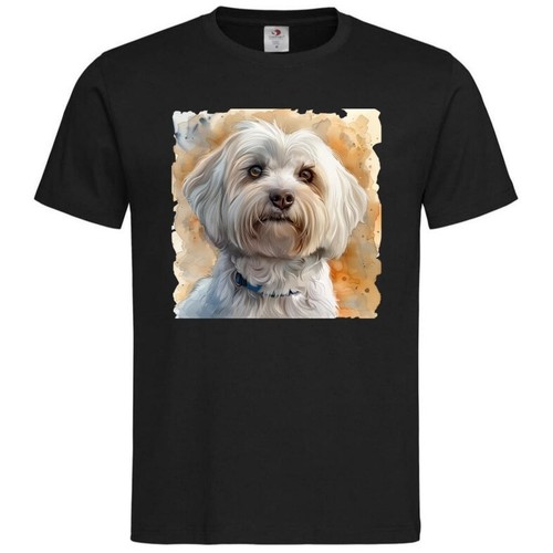 Shirt havanese hunderasse - havanese,
