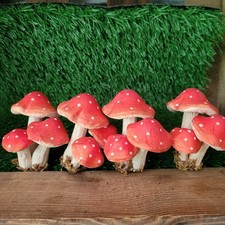 4 x 3 Fliegenpilze Pilze