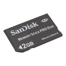 Sandisk memory stick pro - memory, duo