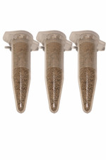 Feenkrebse Sirindhornae 3x