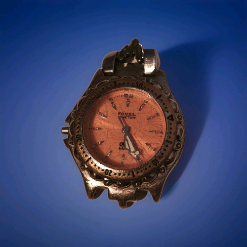 Fossil blue am3149 damenuhr - fossil,