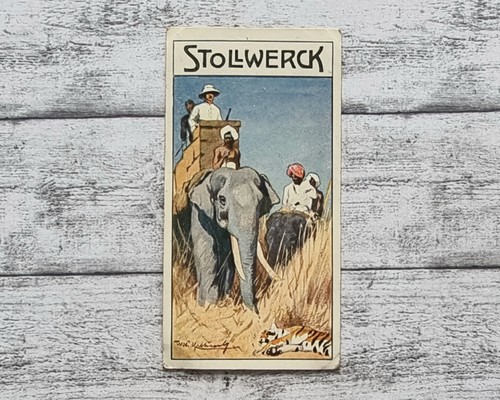 Indische elefant jagdhelfer - elefant,