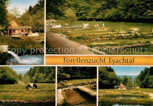 Eyach eutingen gaeu - eyach,