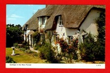 041568 AK New Forest Hampshire