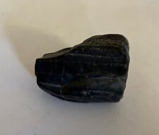 Mineralien Fossilien verkieseltes Holz Fragm. Burgsandstein Fundort Eichelberg