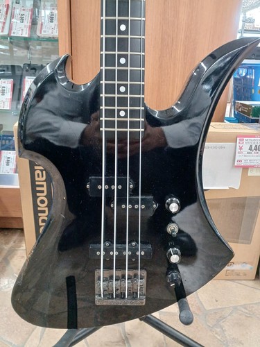 Rich mockingbird - b.c.rich, /