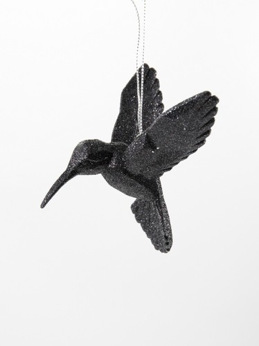 Kurt adler vogel kolibri - kurt, s.