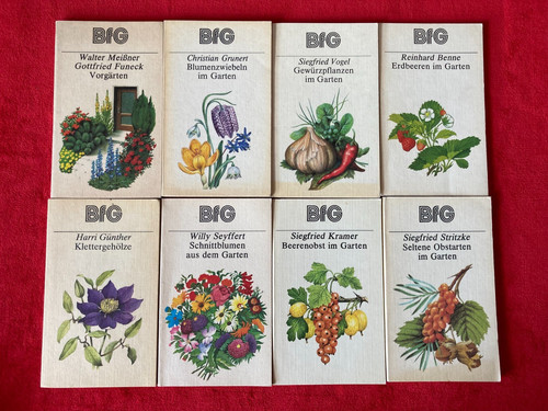 Bfg bücher für - x,