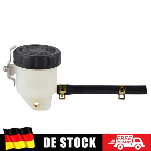 Vorne
