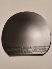 XIOM Vega Europe hybrid (Cut)