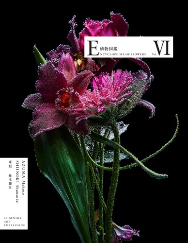 Encyclopedia flowers vi - flowers,